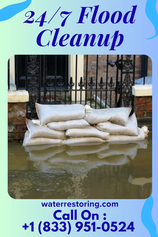 24/7 Flood Cleanup in Princeton, KY