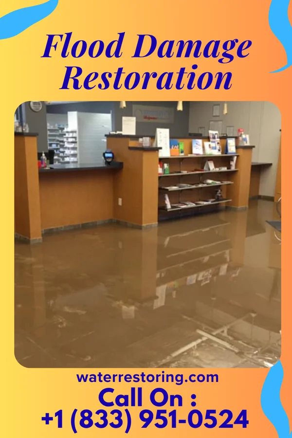 Flood Damage Restoration in Princeton, KY