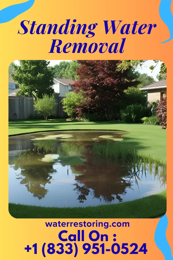 Standing Water Removal in Princeton, KY